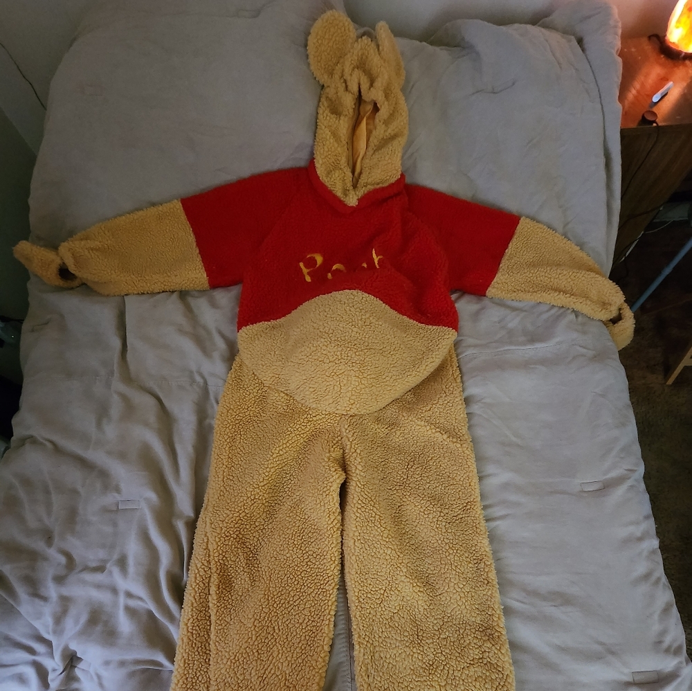 Official Disney Store Winnie The Pooh costume